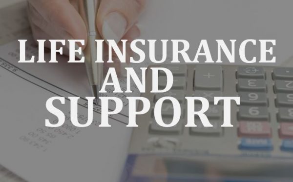 how insurance is affected by child support and spousal support